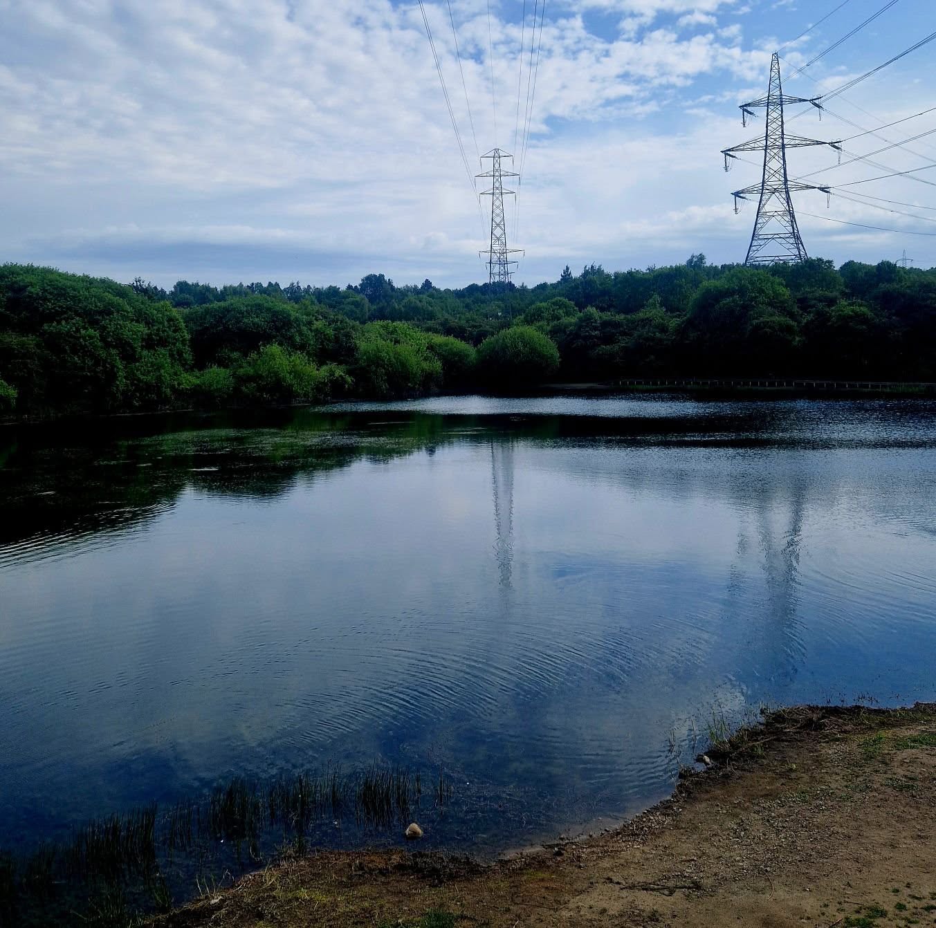 Ryton and District Angling Club logo