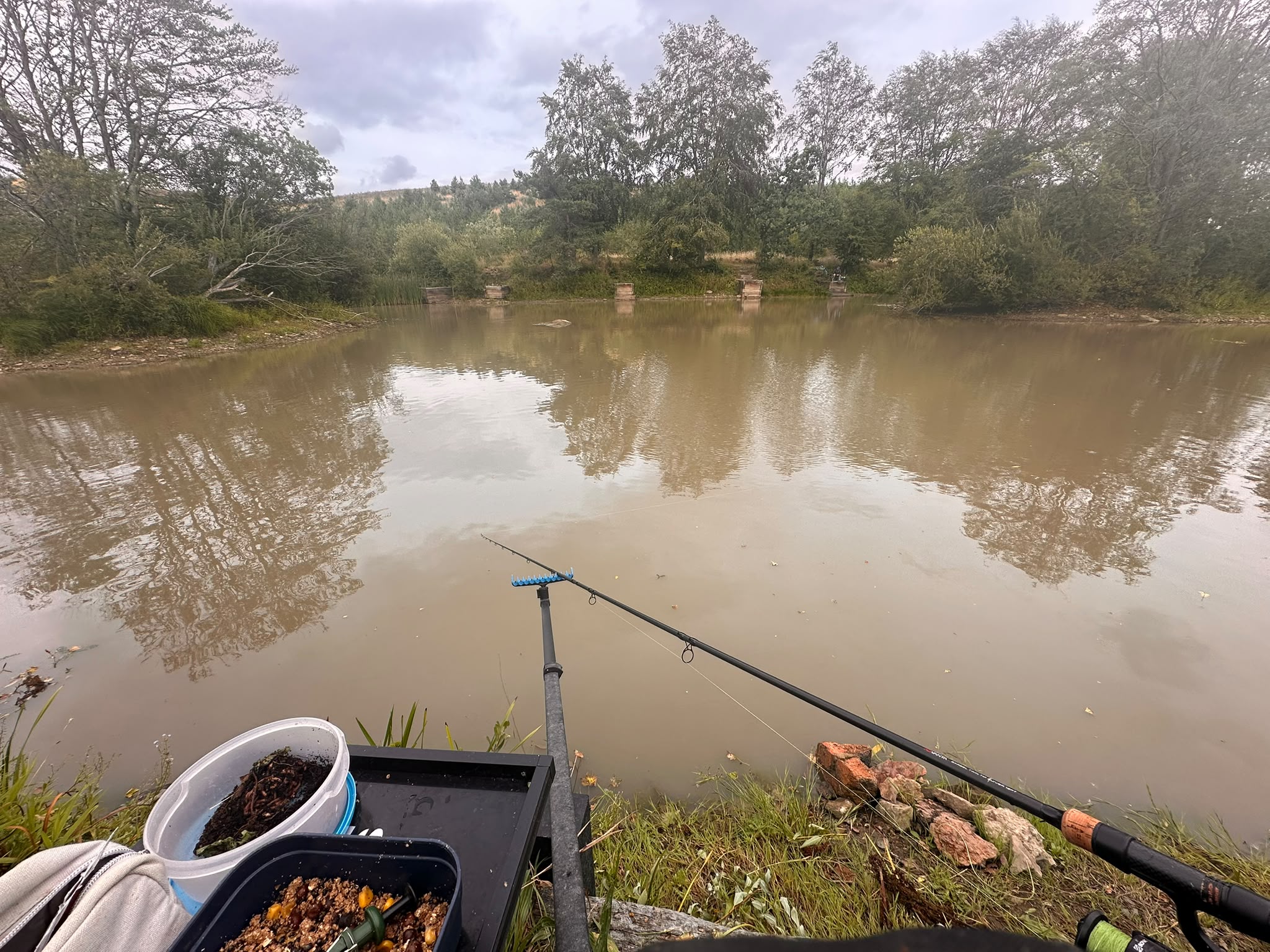 Peg 7 photo