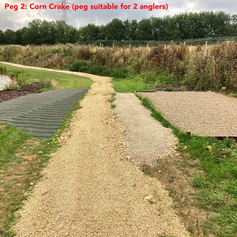 2 · Corn Crake photo
