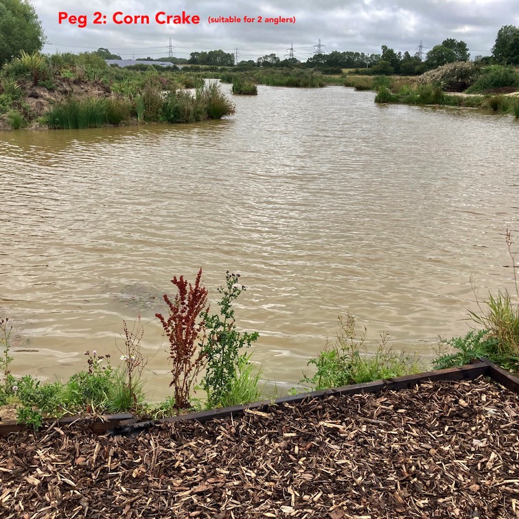 2 · Corn Crake photo