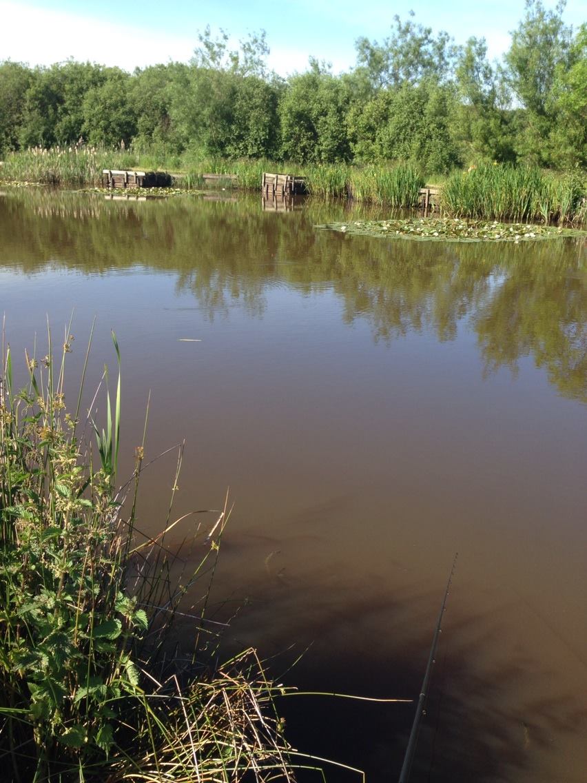 Brenkley Pond photo