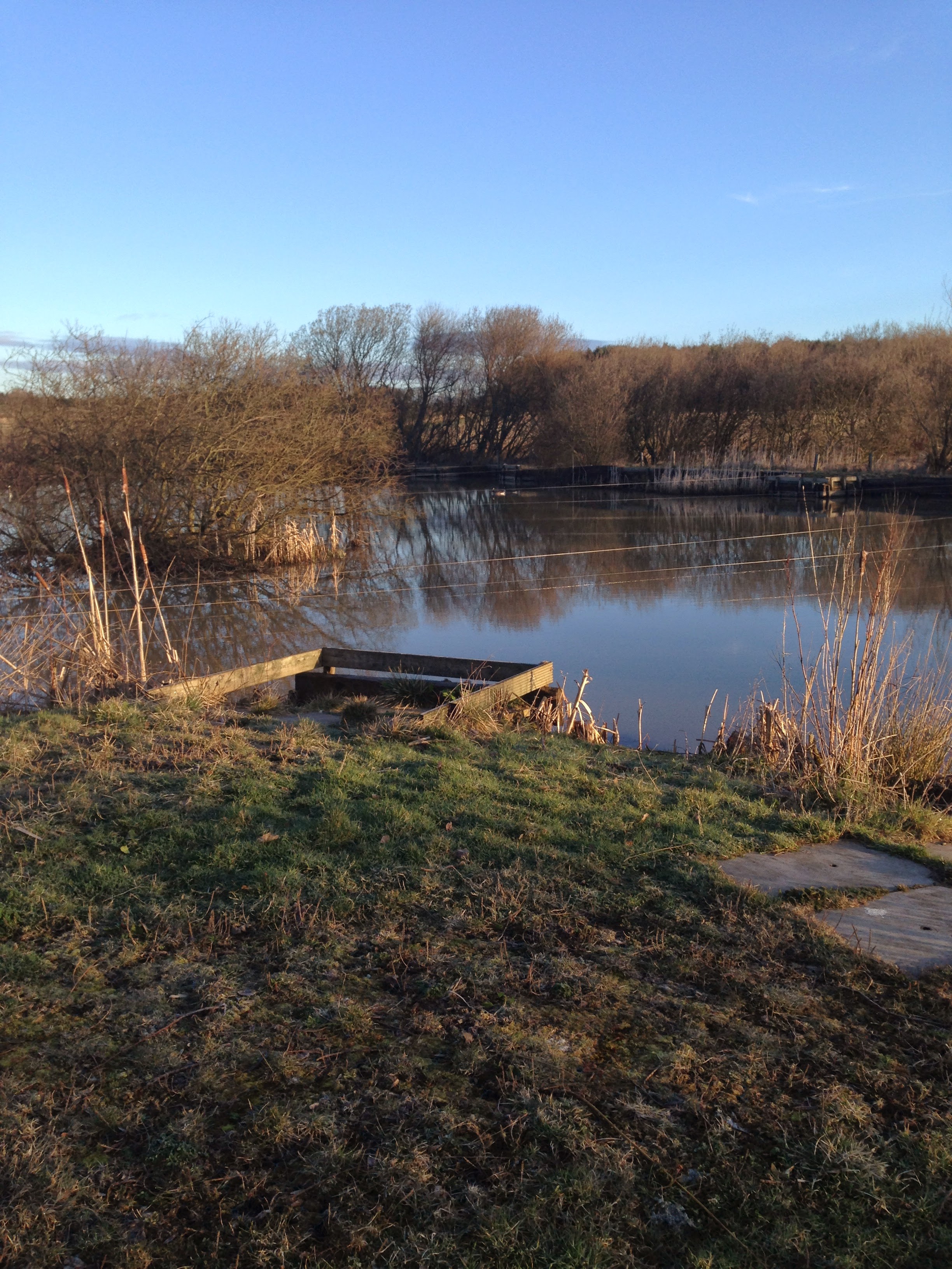 Brenkley Pond photo