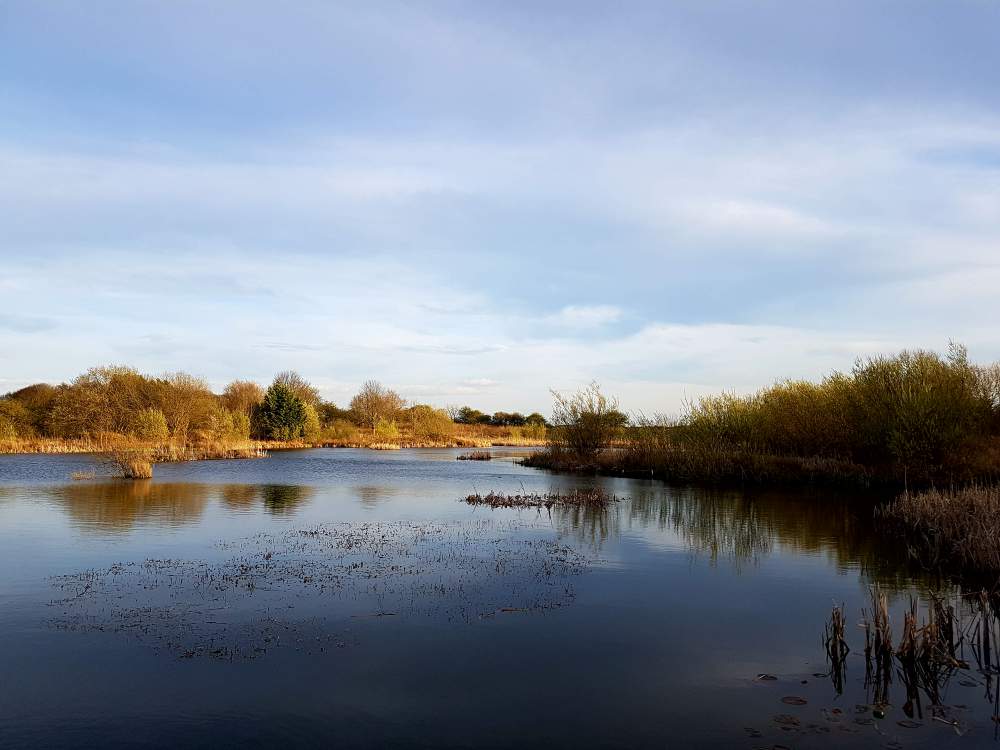 Wellfield Lake photo