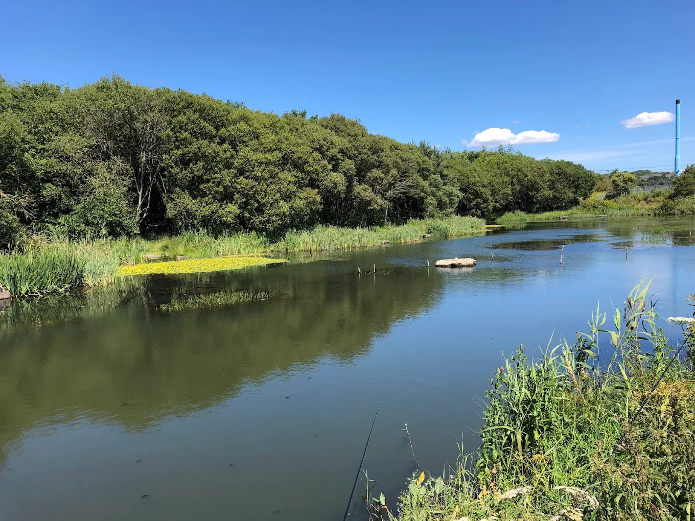 Ouston Springs Pond photo