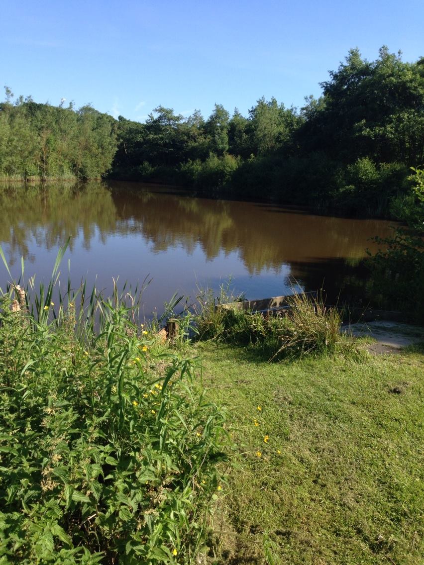 Brenkley Pond photo