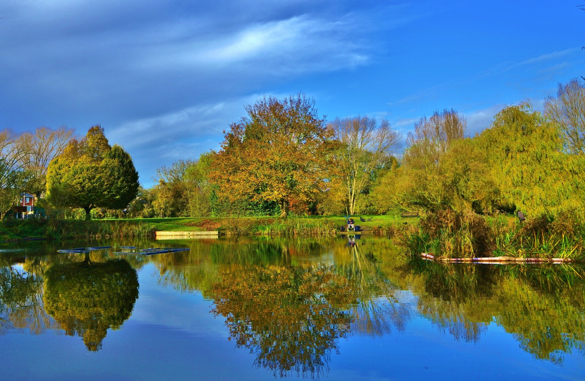 Charlton's Pond photo