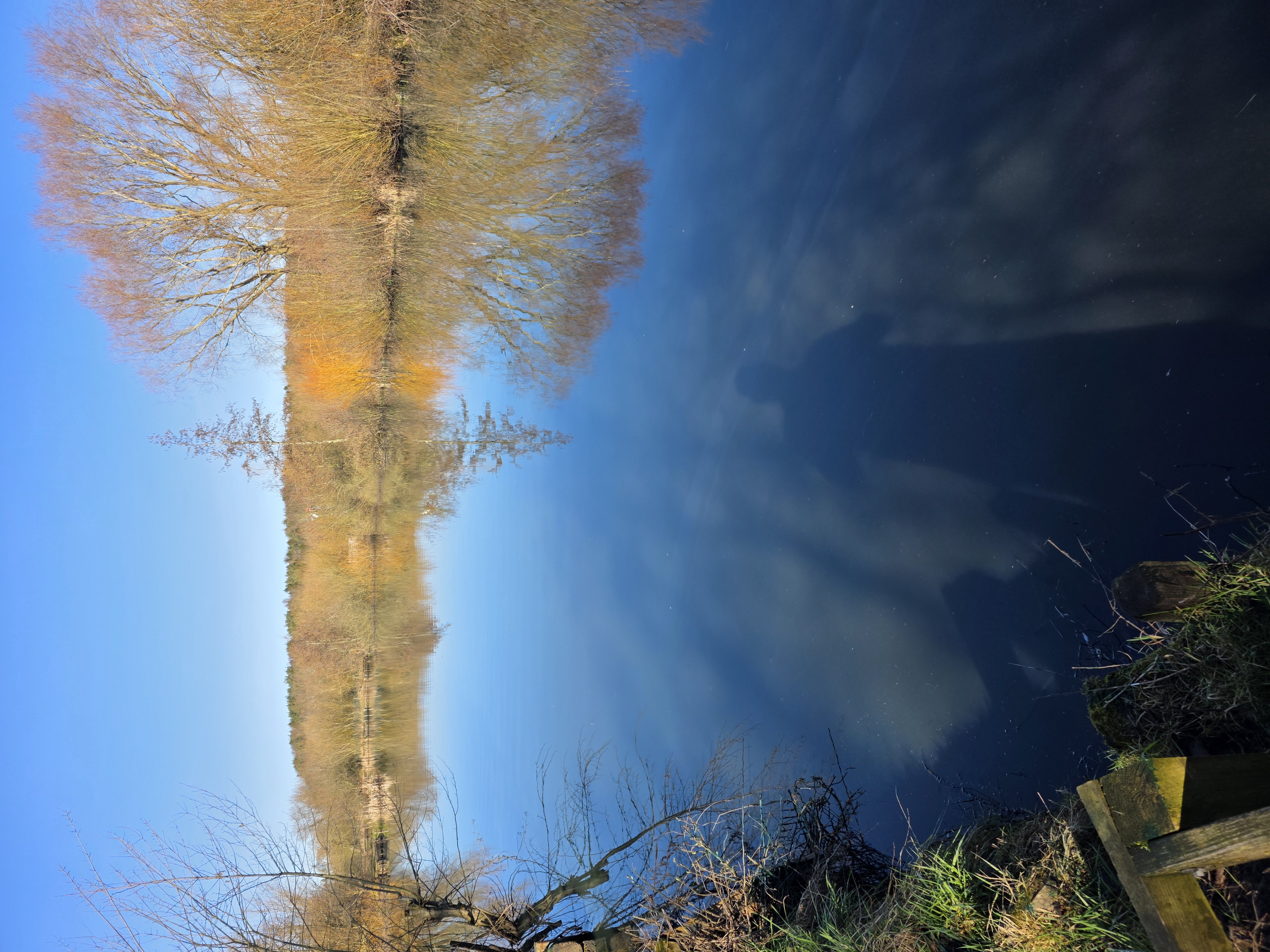 Brenkley Pond photo