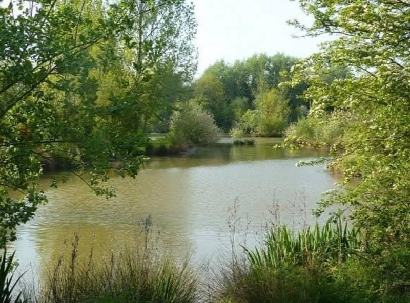 Green Lane Ponds photo