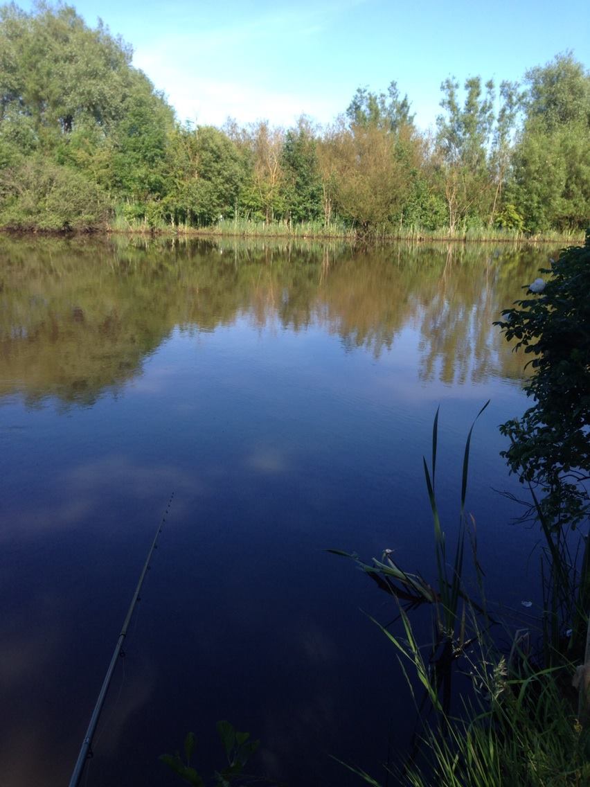 Brenkley Pond photo