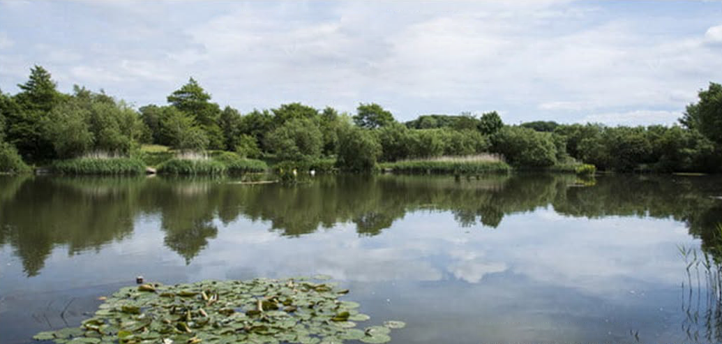 Stephensons Lake photo