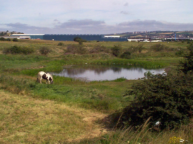 Batley's Pond photo