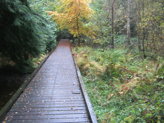 Bolam Lake photo