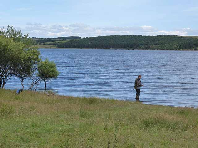 Derwent Reservoir Fisheries photo