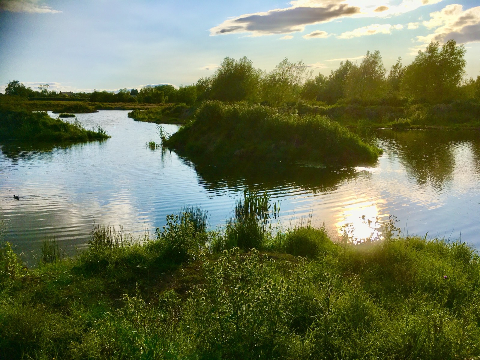 Legends Lake photo