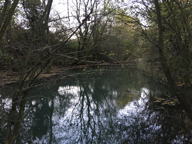 Throckley Reigh photo