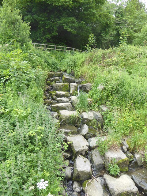 Wydon Burn photo