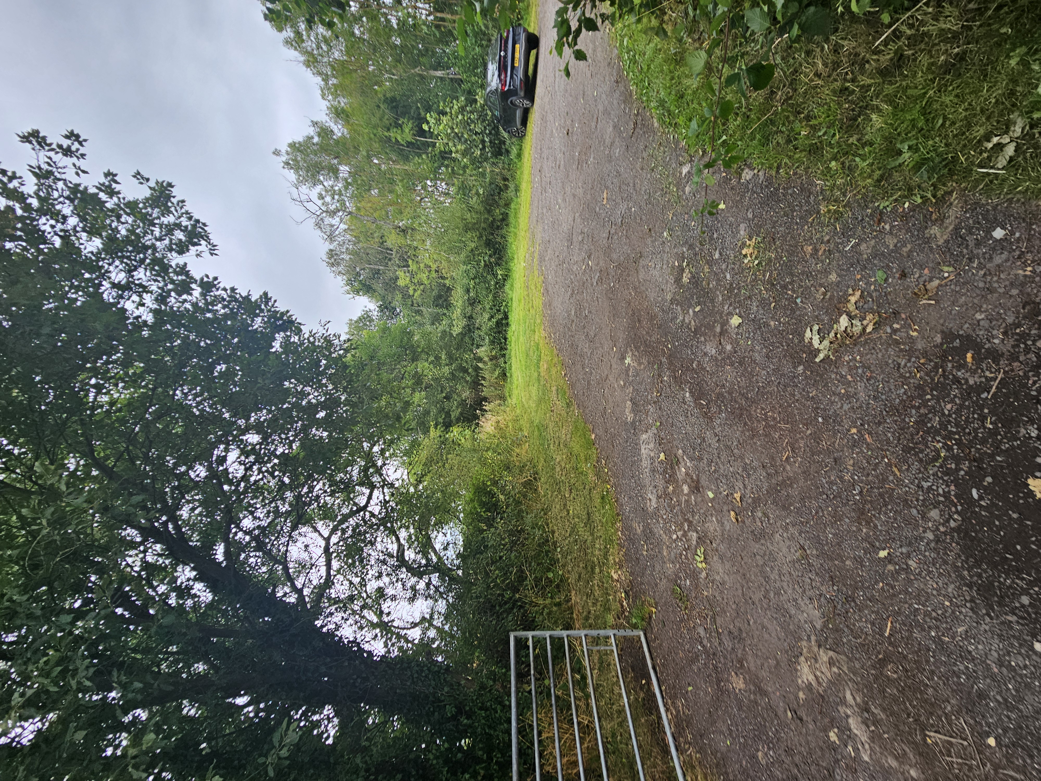 Brenkley Pond photo