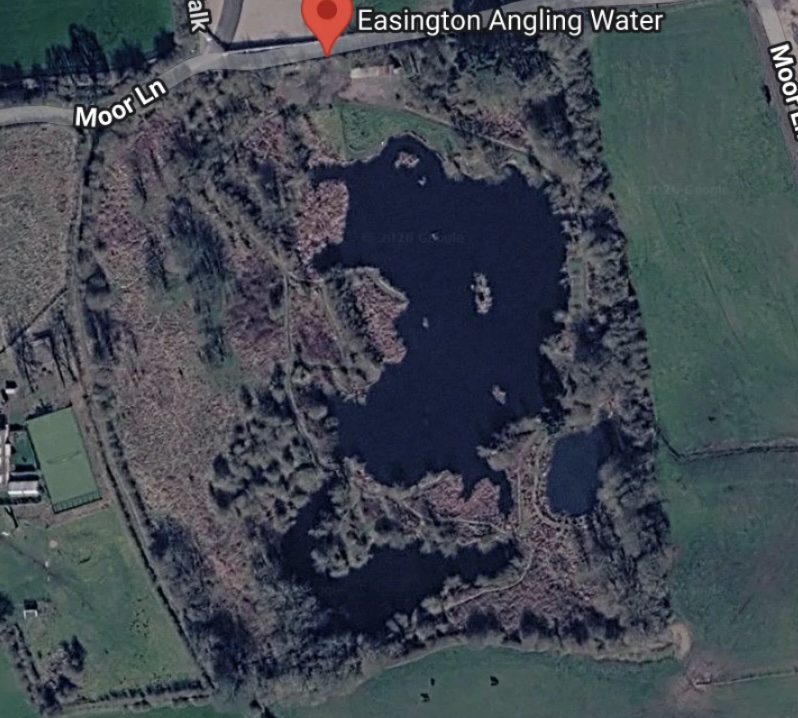 Wellfield Lake pond map